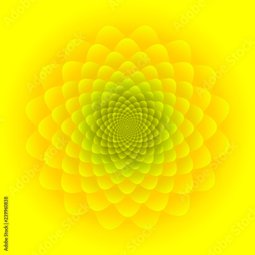 Close-up Sunflower inflorescence in orange and green colors. Abstract floral pattern design on bright yellow background