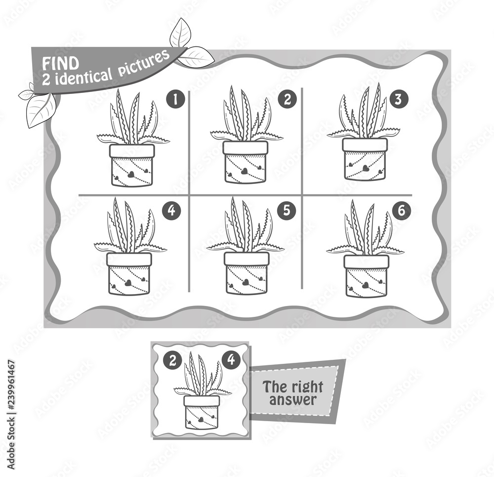 aloe find 2 identical aloe find 2 identical