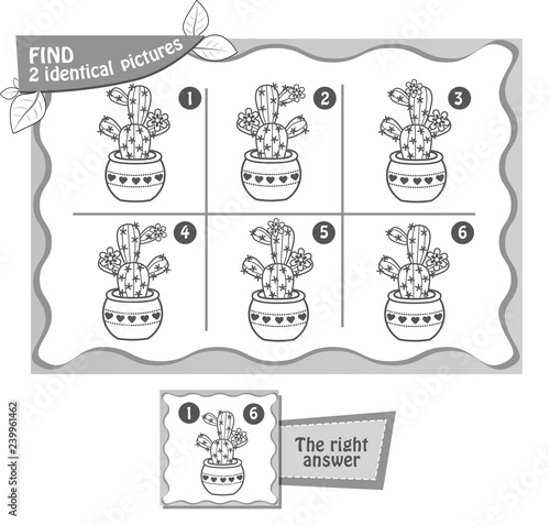 cactus find  2 identical