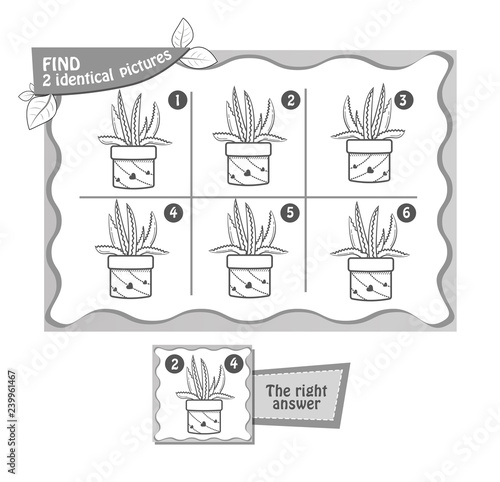 aloe find  2 identical
