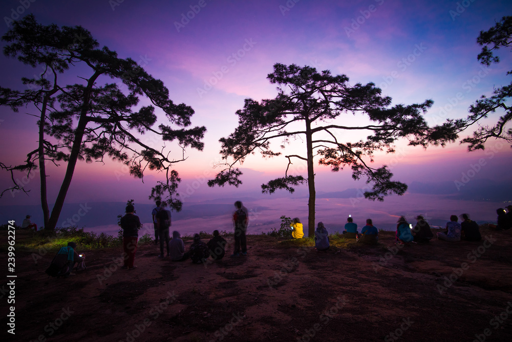 Silhouette pine tree sunset mountain dramatic sky purple blue phu kradueng national park loei thailand landmark of pine cliff asian tourists sunrise