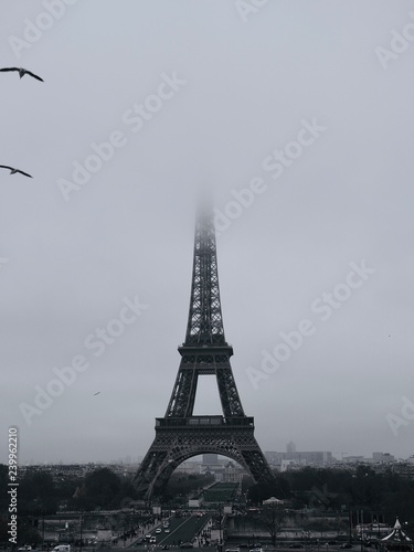 Fototapeta Naklejka Na Ścianę i Meble -  A beautiful illuminated Eiffel Tower and misty night street in Paris, France - Image