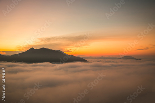 misty forest hill fog mountain top view misty sunrise landscape with forest covered with fog