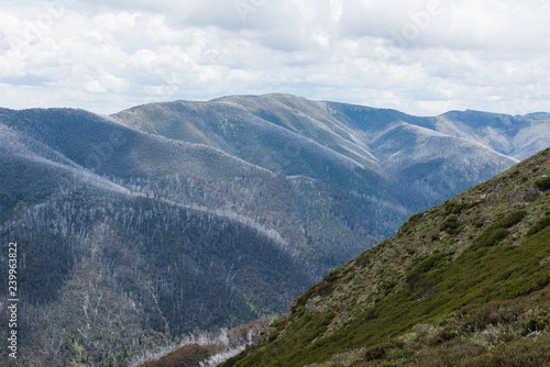 Australia Alpine NP