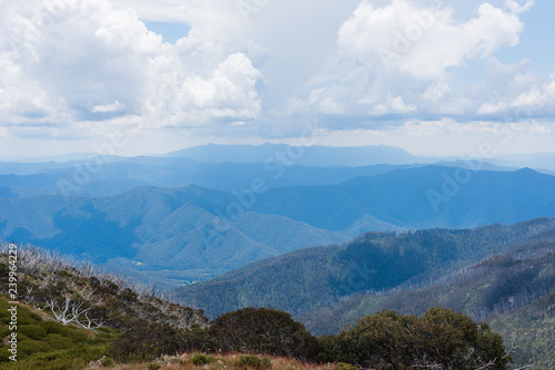 Australia Alpine NP