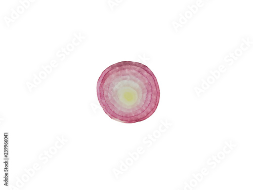 Juicy Shallots slice circle shape isolated on white background