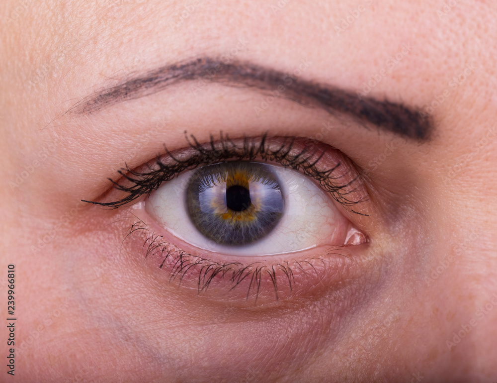 Human woman eye with day beauty makeup and long natural eyelashes Human woman eye with day beauty makeup and long natural eyelashes
