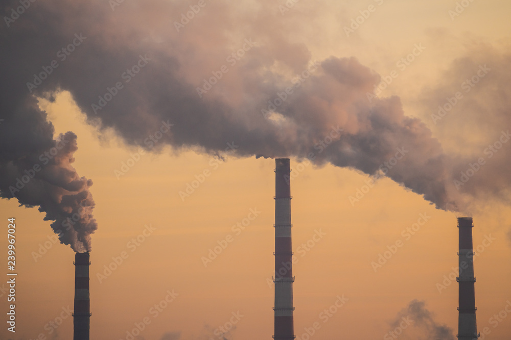 Smoke from the pipes of the factory Smoke from the pipes of the factory