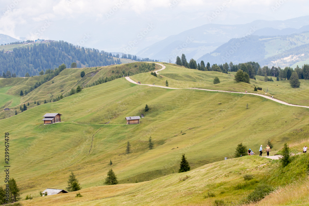Pralongià, Italy - August 24, 2018: Alpine landscape with green meadows and pedestrian path