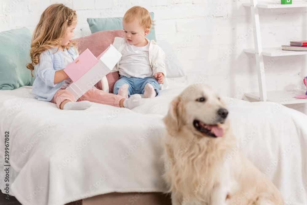 adorable children playing on bed, golden retriever sitting near bed in children room adorable children playing on bed, golden retriever sitting near bed in children room