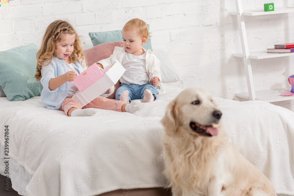 adorable sisters playing on bed, fluffy golden retriever sitting near bed in children room adorable sisters playing on bed, fluffy golden retriever sitting near bed in children room