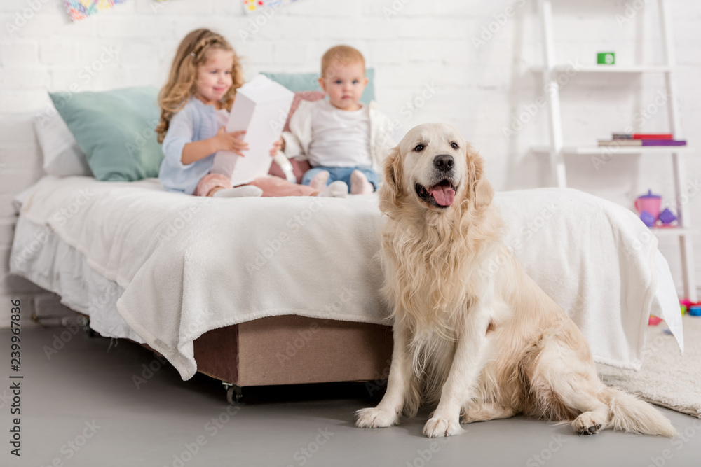 adorable sisters playing on bed, golden retriever sitting near bed in children room