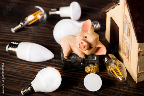 Led lamps and piggy bank lie on a wooden background