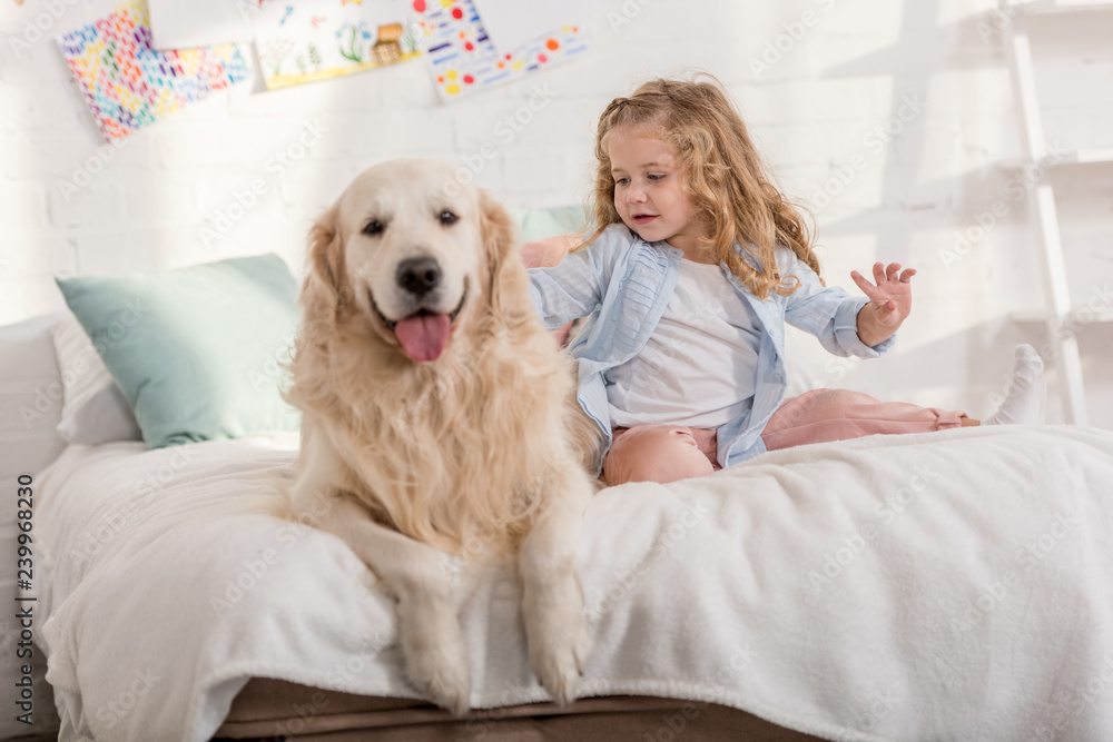 adorable kid palming golden retriever on bed together in children room adorable kid palming golden retriever on bed together in children room