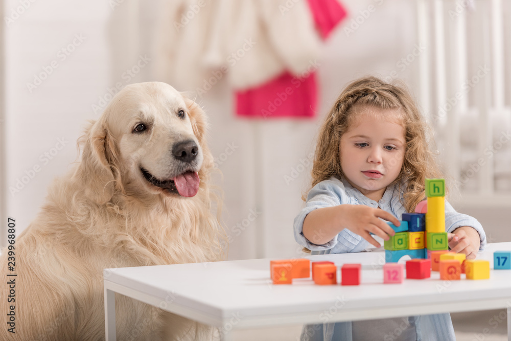 adorable child playing with educational cubes, golden retriever sitting near table in children room