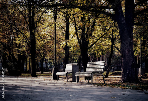 bench in the park © naty11