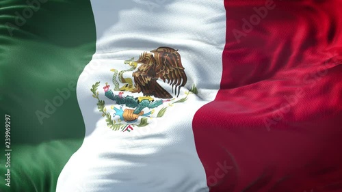 Realistic Flag of Mexico Loop photo