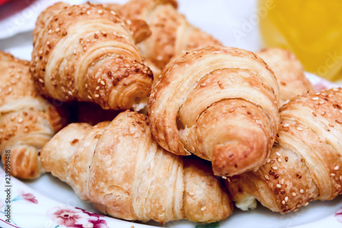 tasty fresh baked homemade croissants with sesame on white plate