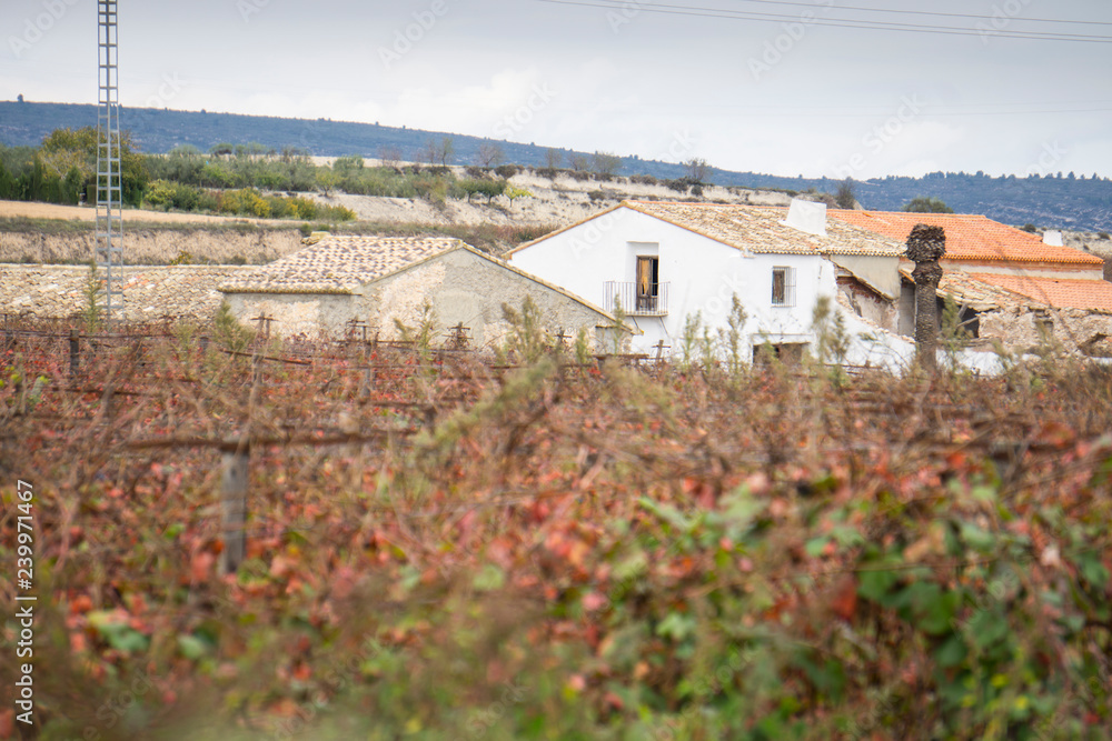 Autumn Vineyards and cellars in Fontanars dels Alforins and Moixent Valencia province Spain Autumn Vineyards and cellars in Fontanars dels Alforins and Moixent Valencia province Spain