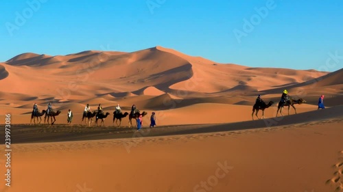 Row of camels at Erg Chebbi, Merzouga, Morocco