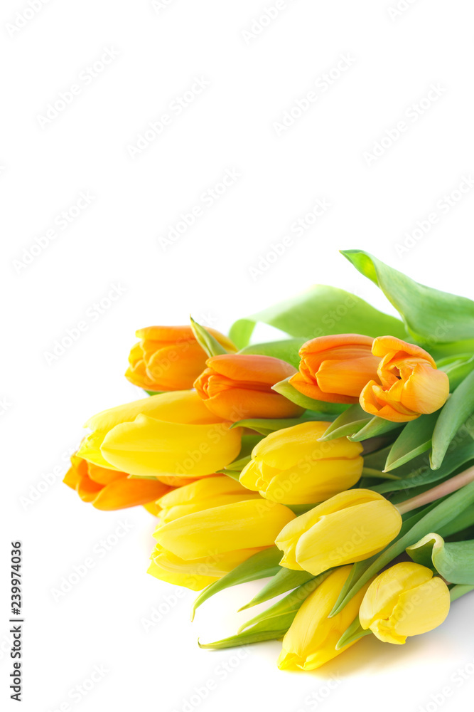 Bouquet of yellow and orange tulips isolated on white background Bouquet of yellow and orange tulips isolated on white background