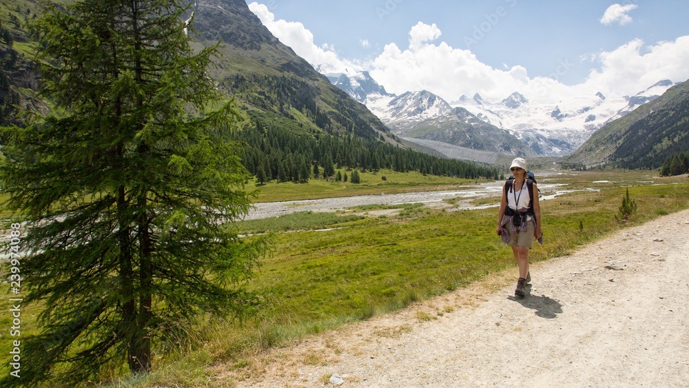 Hiker in Roseg valley, in the background the glacier and the Piz Roseg in the Bernina mountain group, Pontresina, Engadine, Canton of Grisons, Switzerland, Europe Hiker in Roseg valley, in the background the glacier and the Piz Roseg in the Bernina mountain group, Pontresina, Engadine, Canton of Grisons, Switzerland, Europe