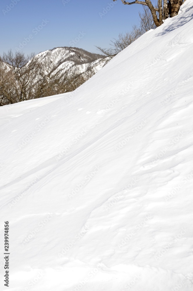 Obraz premium 雪陵の塔ノ岳より丹沢山