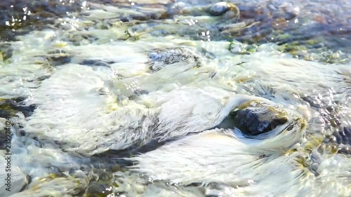Bacteria Chloroflexus aurantiacus in hot springs, Chae Son National Park , Lampang Thailand