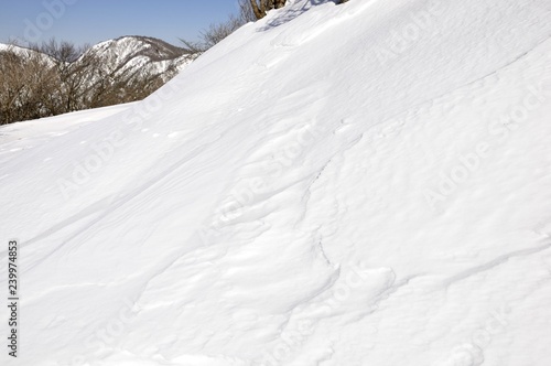 雪陵の塔ノ岳より丹沢山