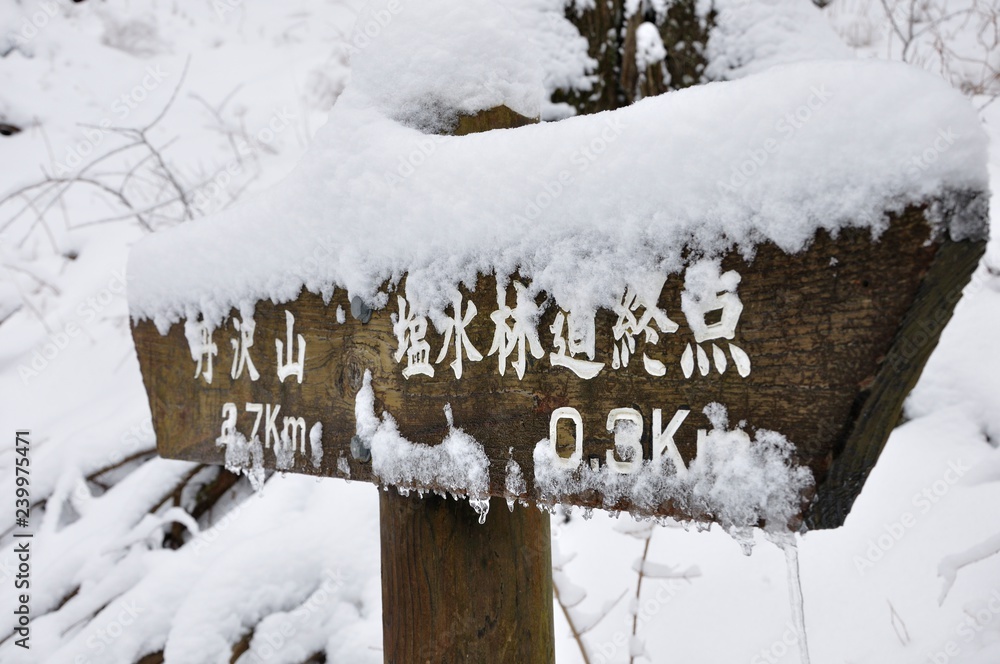 雪山の道標 雪山の道標