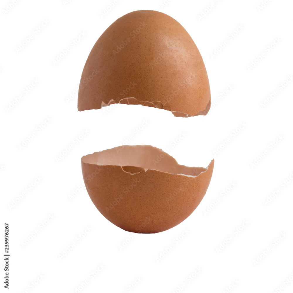 Eggshell on white background Eggshell on white background