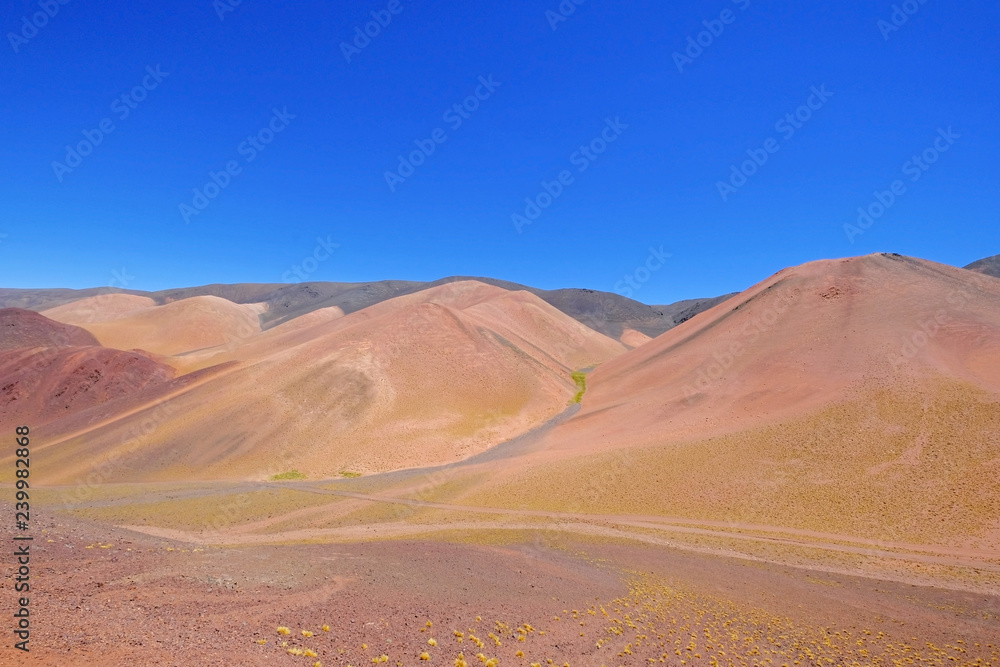 Beautiful mountain landscape in the Argentine Andes, near Laguna Brava, Paso Pircas Negras, Argentina, South America