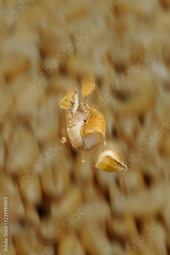 Bruchkorn Weizen