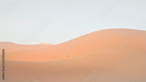 Marocco Sahara Dunes in evening mood, soft shadows and light