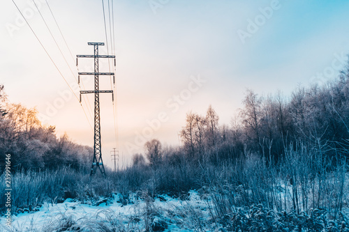 Frozen snowy winter forest where there is a power line