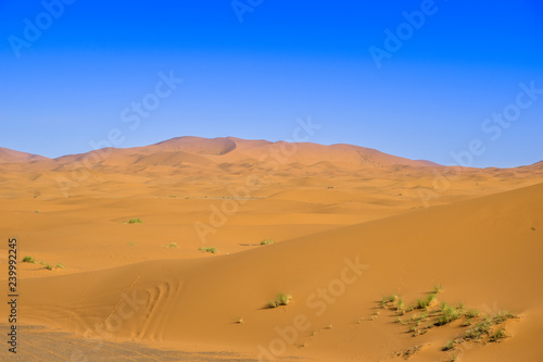 Sahara Desert in Morocco  Merzouga