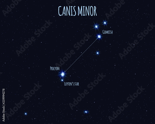 Canis Minor (The Lesser Dog) constellation, vector illustration with the names of basic stars against the starry sky