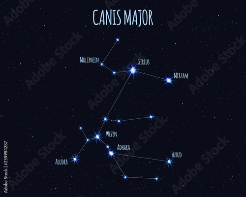 Canis Major (The Great Dog) constellation, vector illustration with the names of basic stars against the starry sky photo
