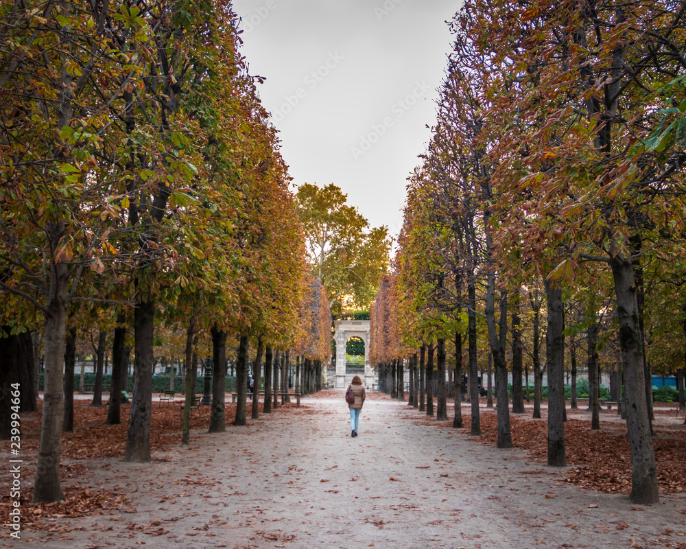 Autumn in Tuileries garden in Paris
