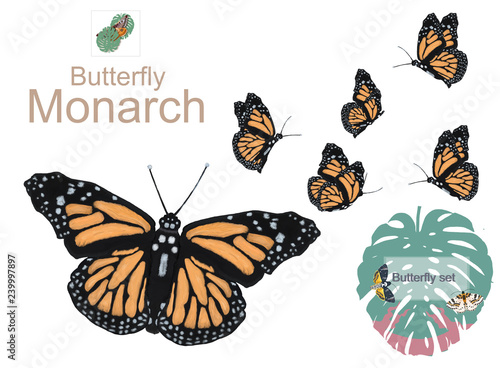 Beautiful Six monarch butterflies set, isolated on white background. Watercolor style.