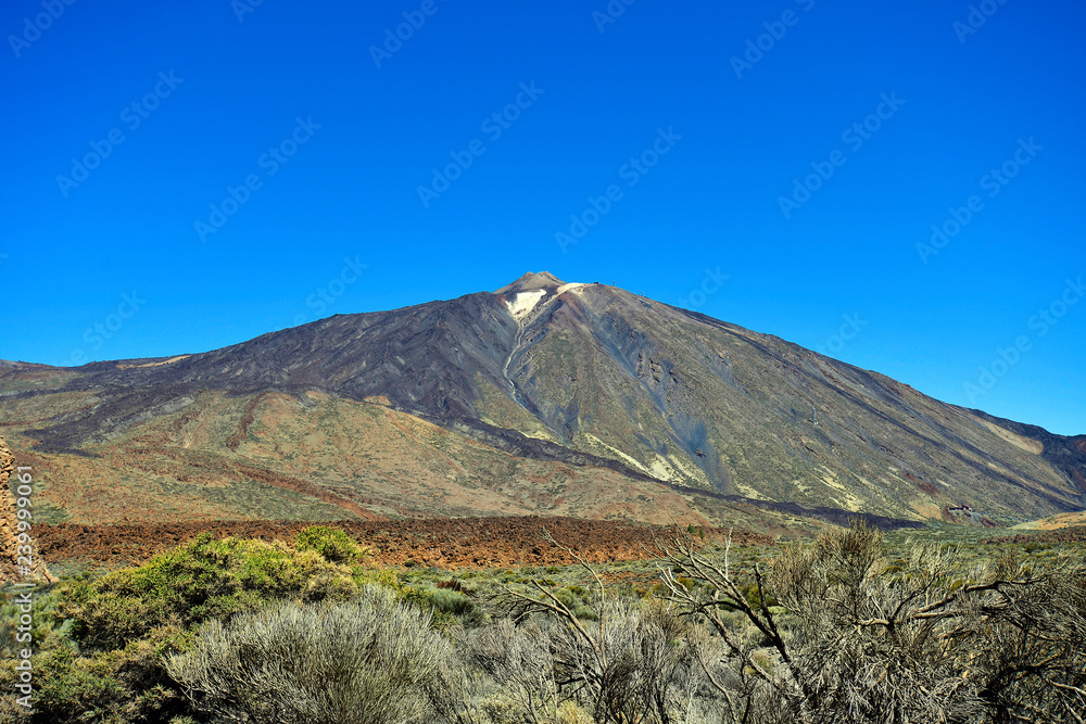 Spain, Canary Islands, Tenerife, Teide National Park Spain, Canary Islands, Tenerife, Teide National Park