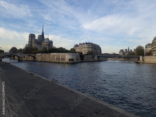 Notre dame de paris and Seine