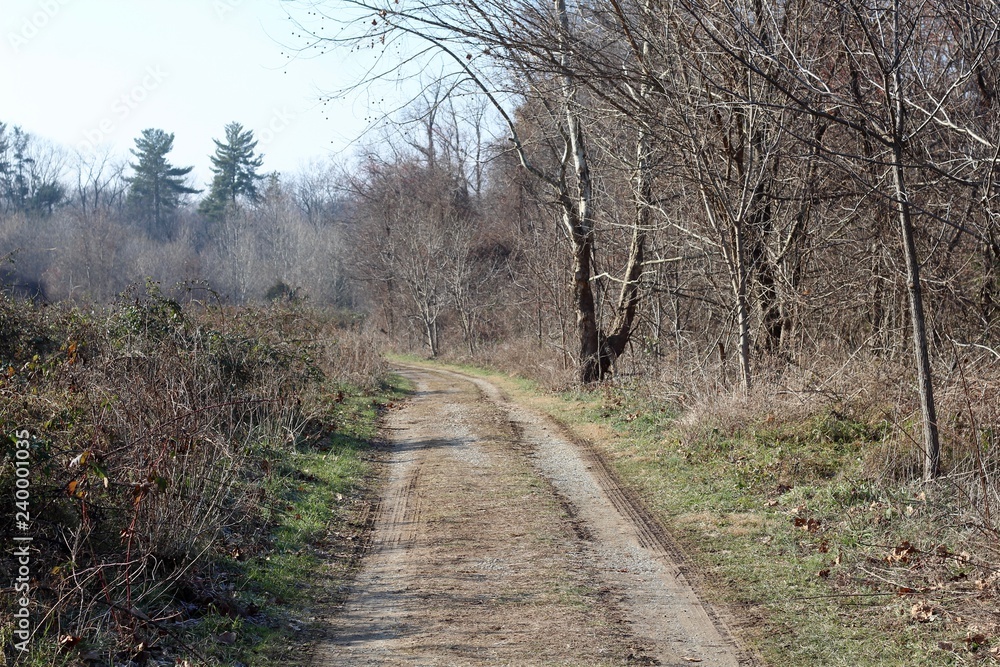 The winding dirt road in the countryside on a sunny day. The winding dirt road in the countryside on a sunny day.