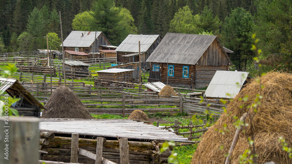 Obraz premium Village, Russia, nature, forest, trees, hay, cottage, fence.