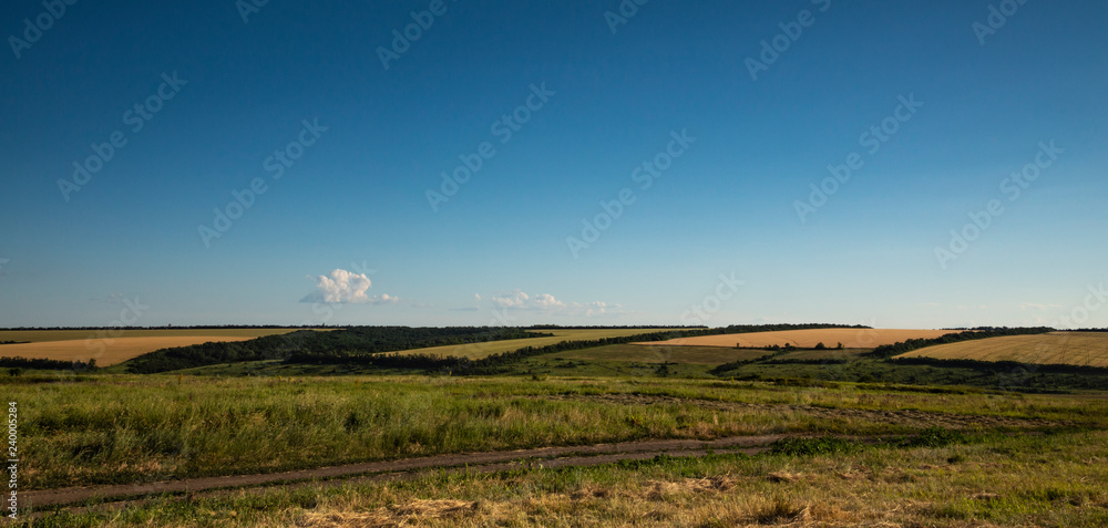 Cut hay in the fields. Harvesting. Bright blue sky and colorful fields in a rural area.