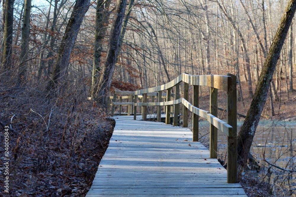 The white frost cover the wood boardwalk trail in forest.