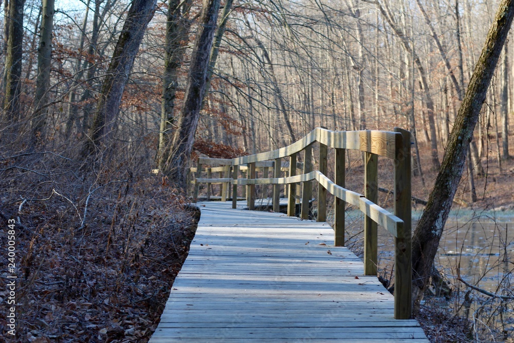 Obraz premium The white frost cover the wood boardwalk trail in forest.