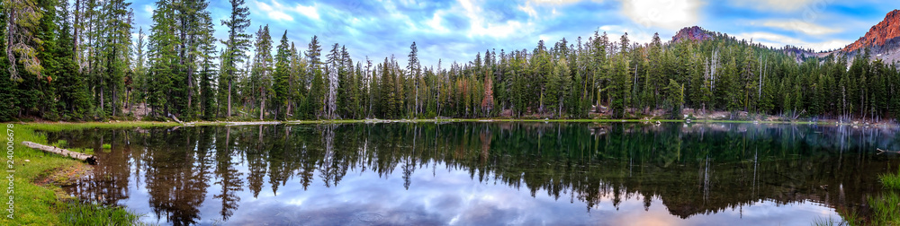 Panorama of a Lake with Forest