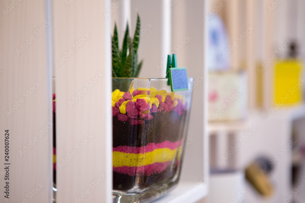 Layered Sand Succulent Planter Layered Sand Succulent Planter