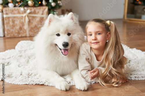 Christmas Child girl with dog Samoyed . Christmas, winter and people concept.Children playing with puppies under Christmas tree. Christmas greeting card. Happy New Year! New Year at home